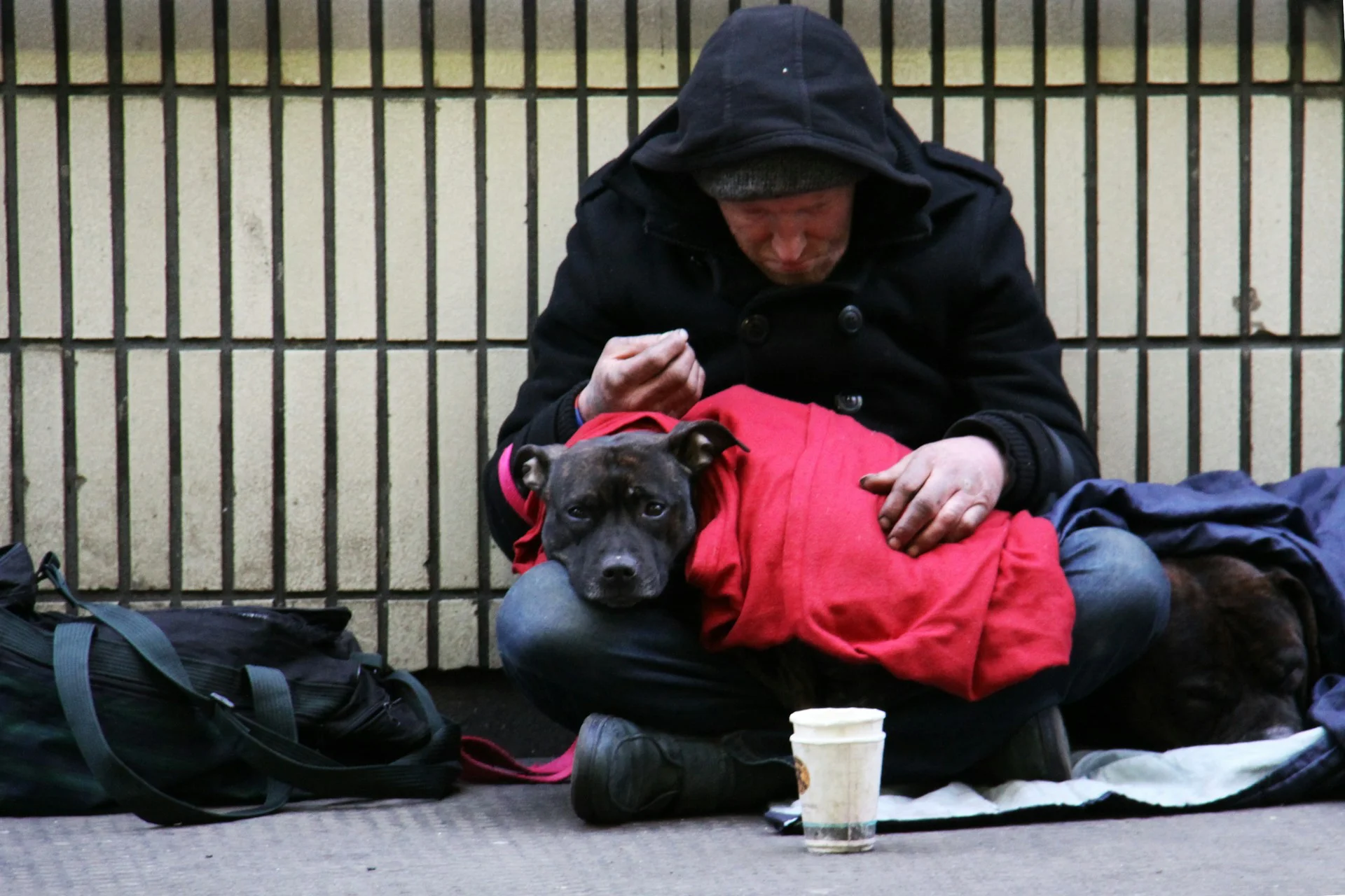Accattonaggio con animali